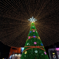 🙂#zpCh님의 프로필 이미지