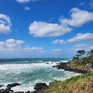 유저 프로필 사진