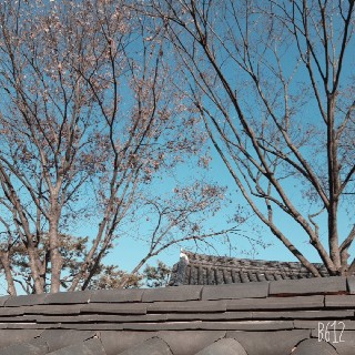 두잭님의 프로필 이미지