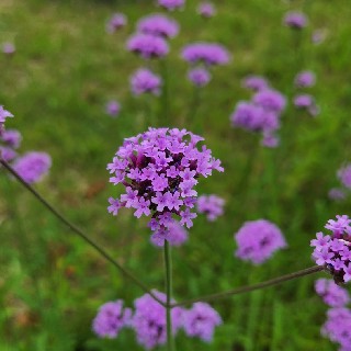 유저 프로필 사진