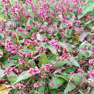 유저 프로필 사진