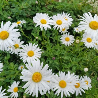 스위티#X7AE님의 프로필 이미지