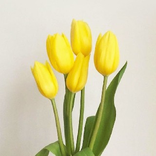 프로필 이미지