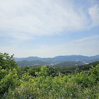 유저 프로필 사진
