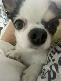 MiN#DvUI님의 프로필 이미지