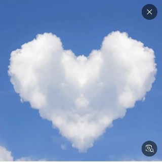 캐모마일드~~~님의 프로필 이미지