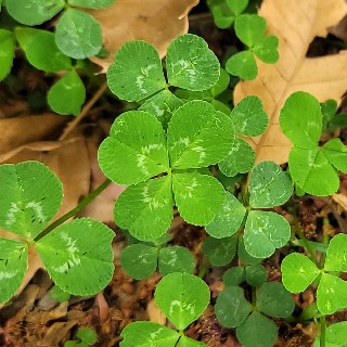 유저 프로필 사진