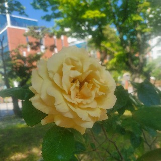 메모#YWDE님의 프로필 이미지