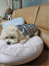 유해인#b20x님의 프로필 이미지