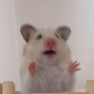 다혜#fQqu님의 프로필 이미지