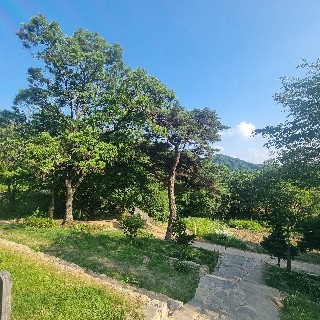 송동현