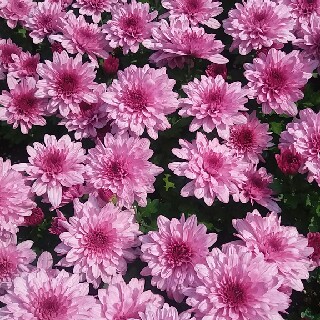 와이에S님의 프로필 이미지