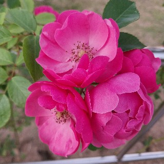 프로필 이미지