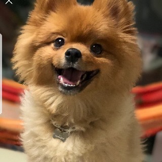 유저 프로필 사진