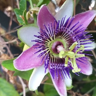 유저 프로필 사진