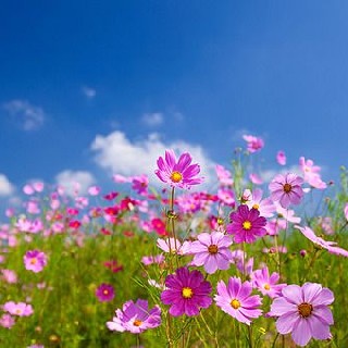 유저 프로필 사진