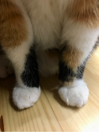 흥흥#HpOm님의 프로필 이미지