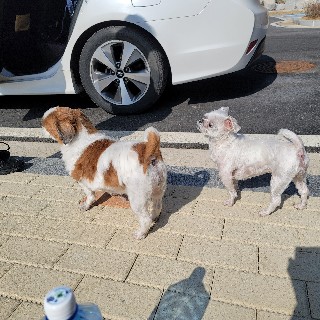 유저 프로필 사진