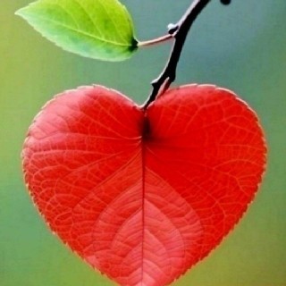 유저 프로필 사진