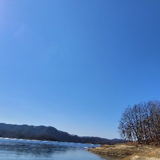 유저 프로필 사진