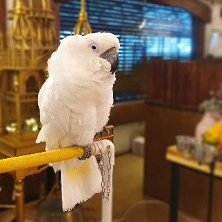 유저 프로필 사진