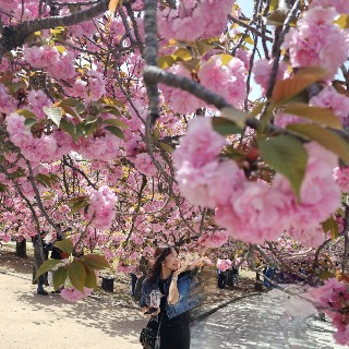 jhs#Juh2님의 프로필 이미지