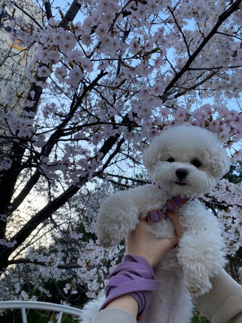 손혜림#lmOC님의 프로필 이미지