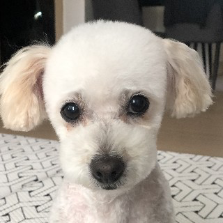 유저 프로필 사진