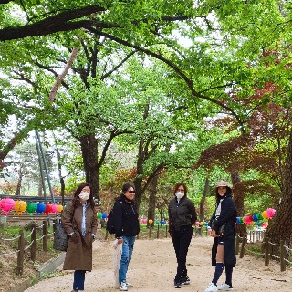 희