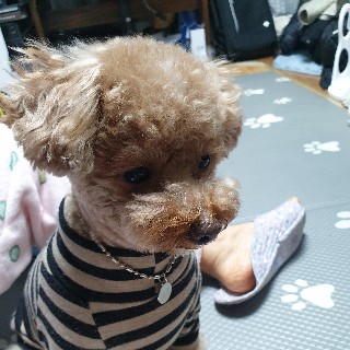 유저 프로필 사진