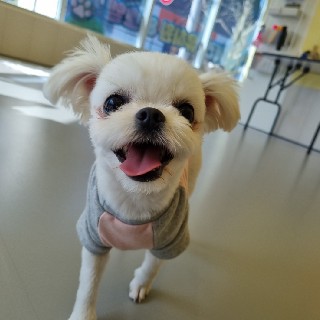 프로필 이미지