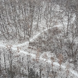 유저 프로필 사진
