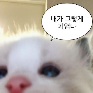 유저 프로필 사진