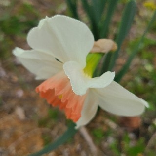 유저 프로필 사진