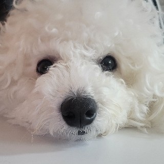 지젤#ddlS님의 프로필 이미지