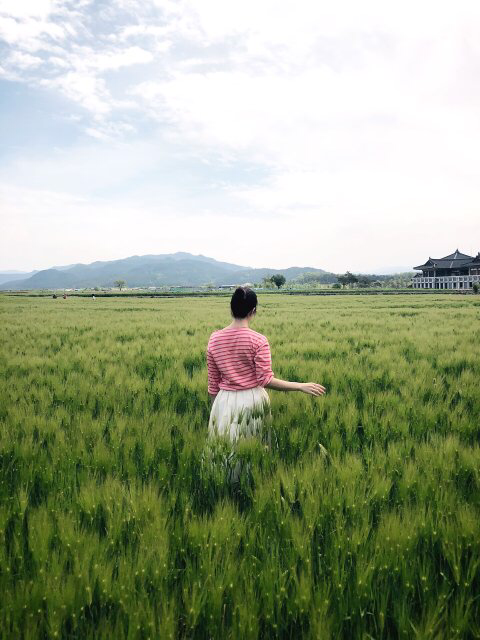 유저 프로필 사진