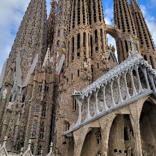 유저 프로필 사진