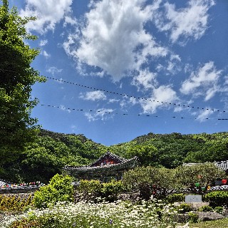 유저 프로필 사진