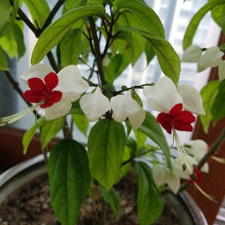 유저 프로필 사진