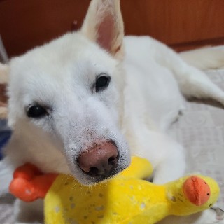 하루쉬고 오전에 드릴께요ㅠ님의 프로필 이미지