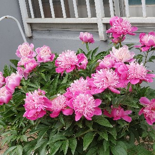 유저 프로필 사진