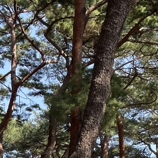 유저 프로필 사진