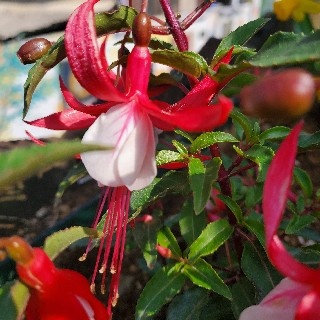 프로필 이미지