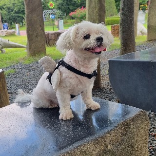 유저 프로필 사진