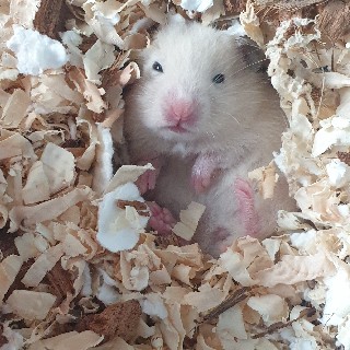 프로필 이미지