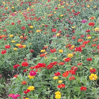 유저 프로필 사진