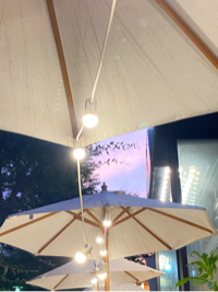 나비 님의 프로필 이미지