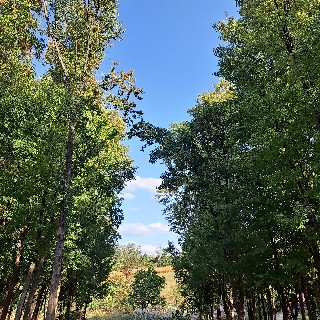 유저 프로필 사진