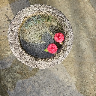 짱귀요미#Z8Iy님의 프로필 이미지