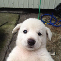 💕#F5Oe님의 프로필 이미지